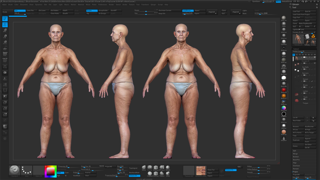 ZBrush ZTool render of an older female 3D body scan at high subdivision showing sculpt-ready mesh geometry